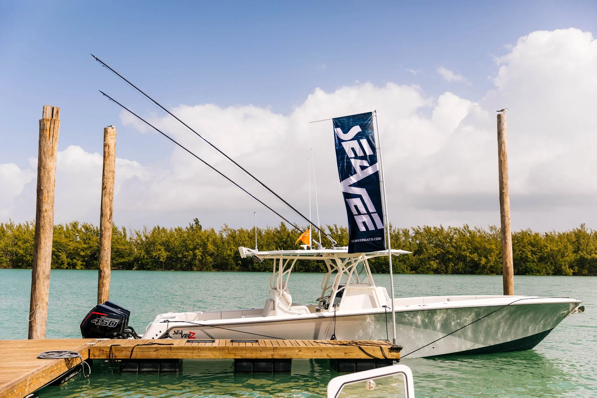 BLUEWATER Internal CARBON FIBER OUTRIGGER PAIR