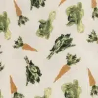 Fresh Veggies Organic Cotton Zipper Footed Romper
