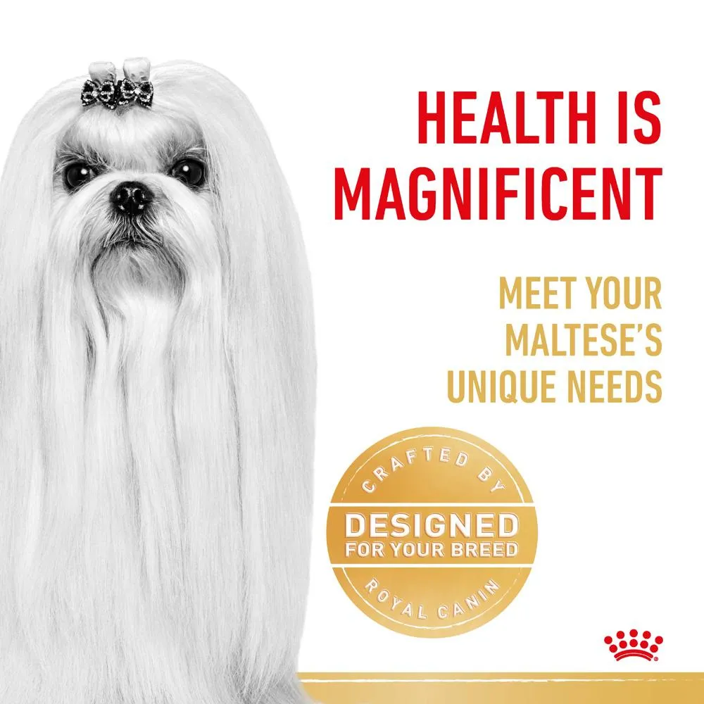Royal Canin Maltese Adult Dry Dog Food